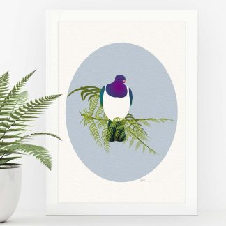 Kereru art print in a white frame