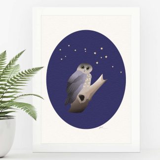 Ruru (Morepork) art print in a white frame