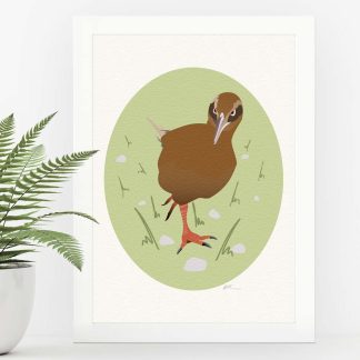 Weka art print in a white frame. The illustration shows a weka striding across stony tussock.
