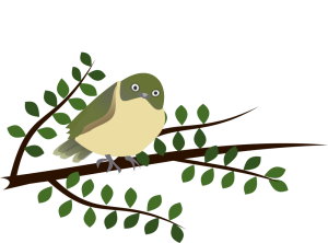 Illustration of a tauhou - a small bird with a cream chest and green head, wings and tail, with a ring of white feathers around the eye - perched on a kōwhai branch.