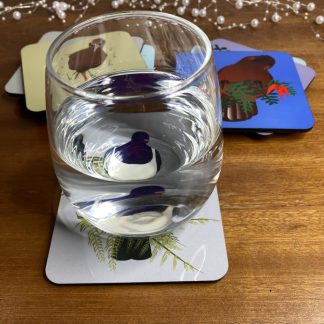 Four coasters on a wooden sideboard. The front one has a glass of water on it, distorting the illustration of a kererū that is printed on it.