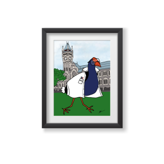 Pūkeko in a lab coat print in a black frame with a white mat.