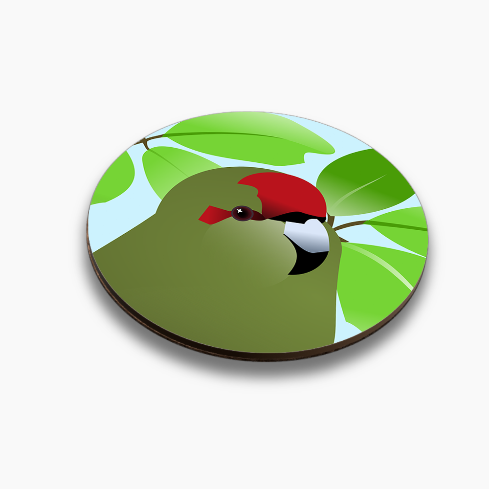 Native hero coasters - individuals or mix and match sets - Image 2