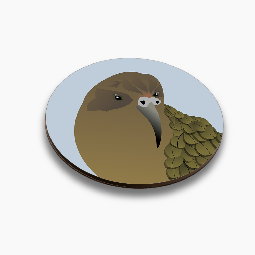 Native hero coasters - individuals or mix and match sets - Image 5