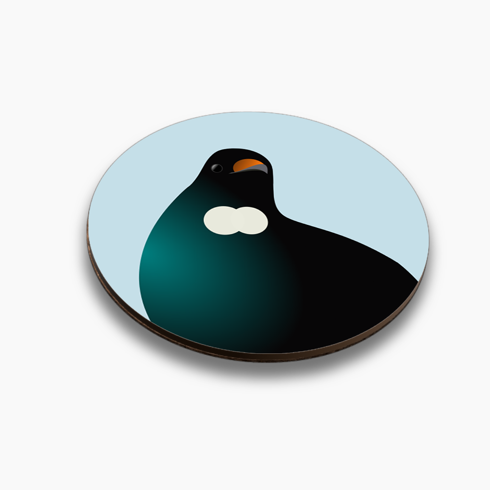 Native hero coasters - individuals or mix and match sets - Image 8