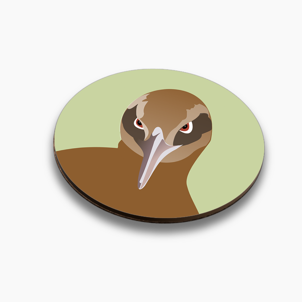 Native hero coasters - individuals or mix and match sets - Image 3